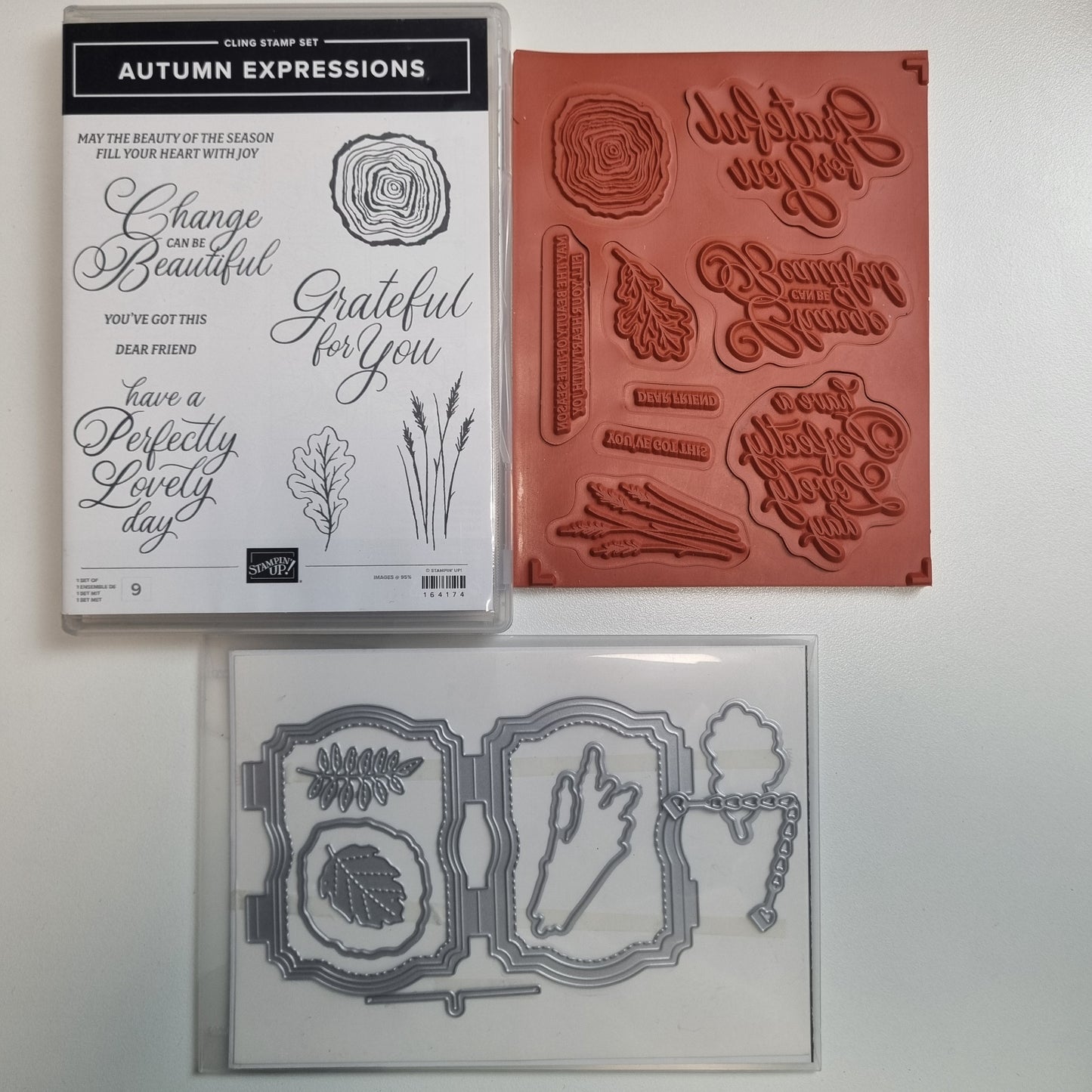 Autumn Expressions NEW Cling Stamp Set & Dies Stampin' Up!