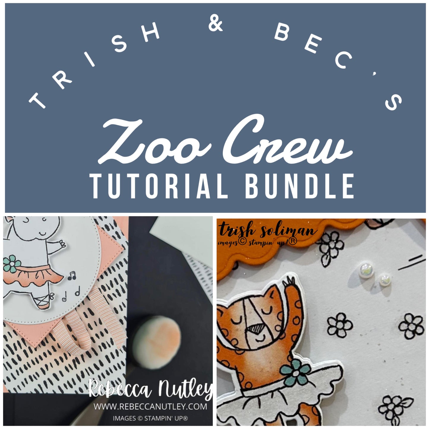 Tutorial - Craft This Way, Zoo Crew Card Tutorial