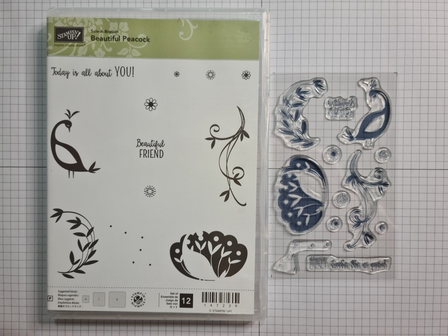 Beautiful Peacock Photopolymer Stamp Saleabrations Stampin' Up! NEW