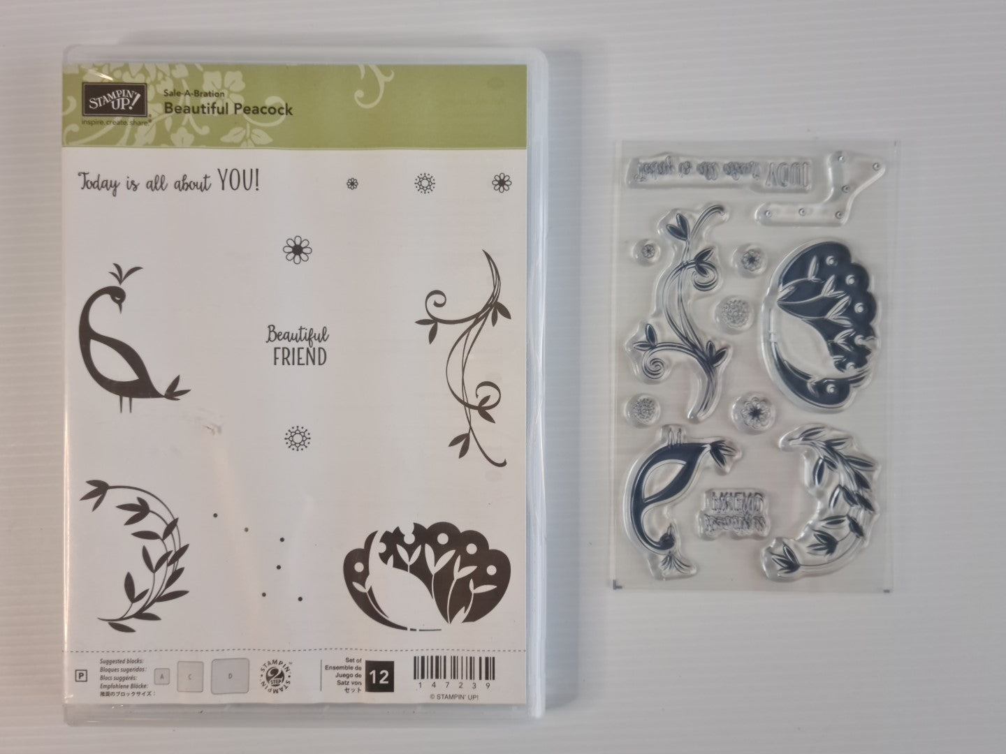 Beautiful Peacock Photopolymer Stamp Saleabrations Stampin' Up! NEW