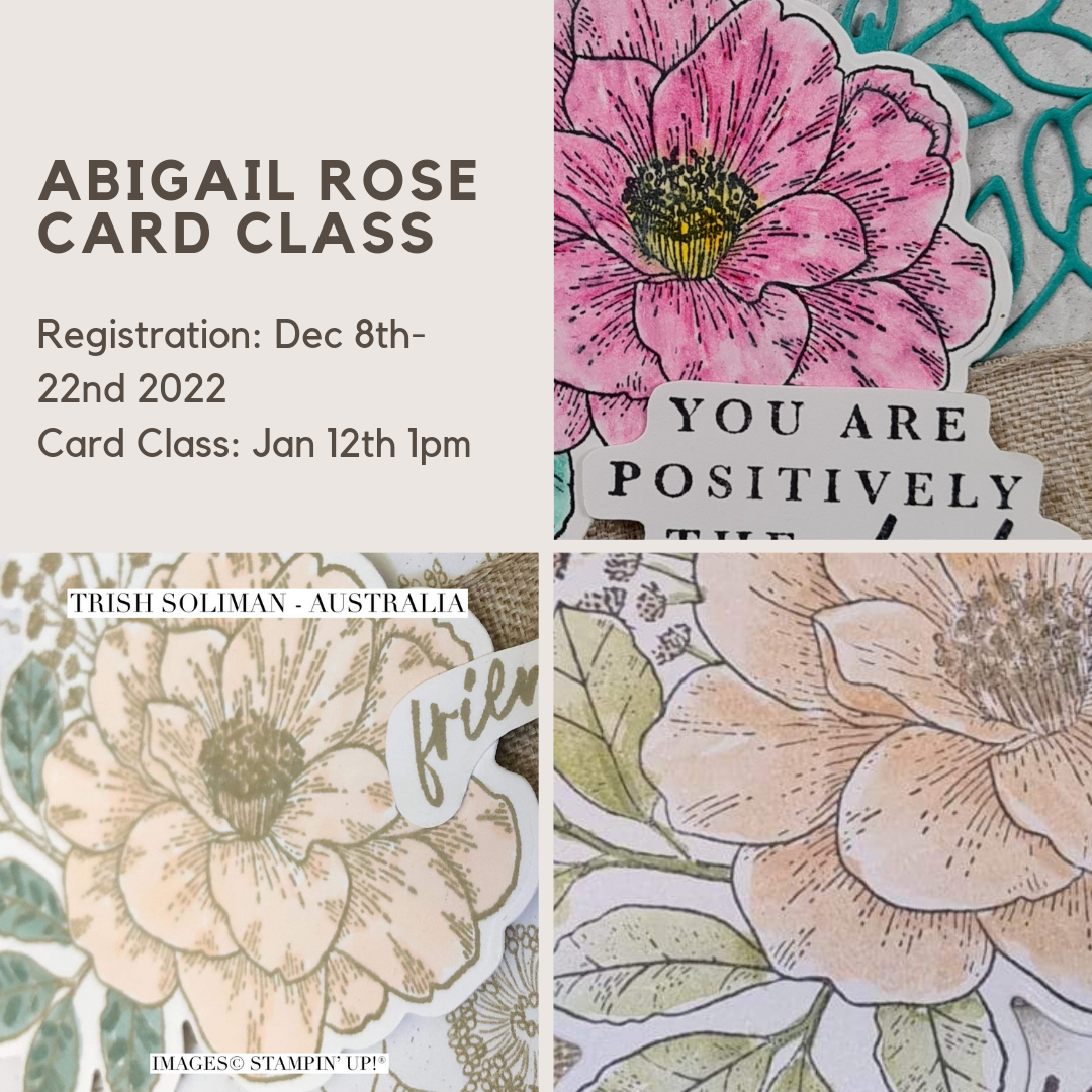 Tutorial - Abigail Rose Beginners Card Class Tutorial