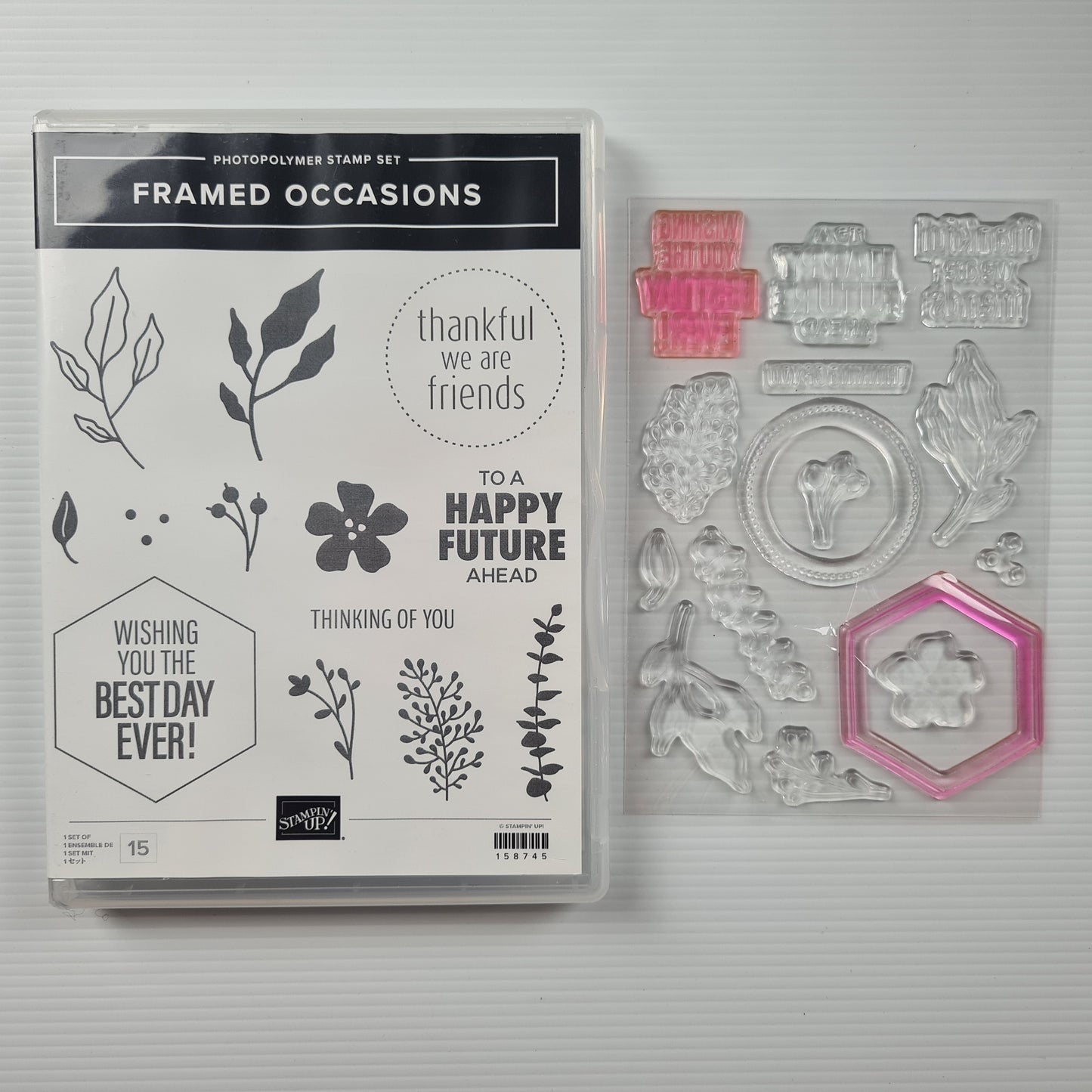 Framed Occasions Stampin' Up! Stamp Set Lightly Used