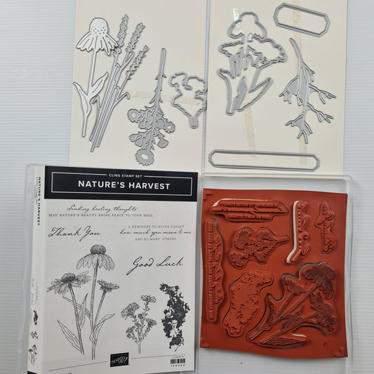 Used Stampin' Up! 'Nature's Harvest' Stamp Set & Coordinating Dies